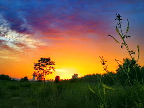 美圖分享丨手機攝影 第769期 市場推廣宣傳